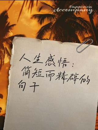 人生哲理最精辟的句子，人生哲理精辟句子，领悟生活的智慧与深度