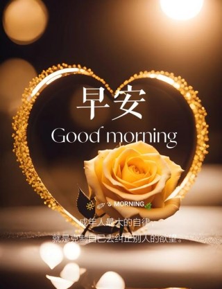 温馨的早安唯美语录，经典入心，百看不厌