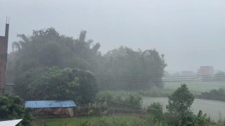 乡村晨雨
