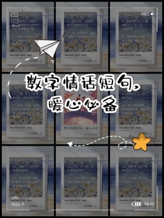 七个数字组成的浪漫告白宣言，你见过吗？