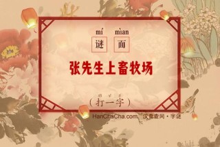 张先生去下面 （打一字）