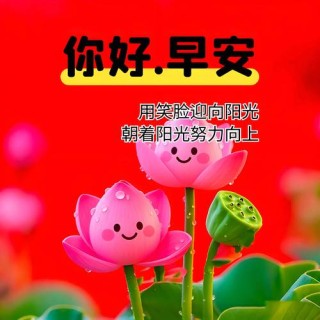 早安心语‖轻轻地问候浓浓的思念，静静的牵挂绵绵的情意