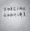 凉生，寂寞独我，那一季花开到萎糜