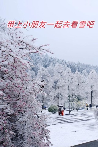 看雪
