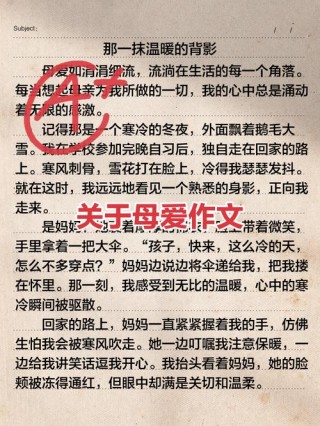 高三周记300字：母爱如雨滴