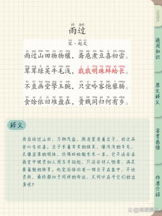 雨过之后。炎夏周而复始。