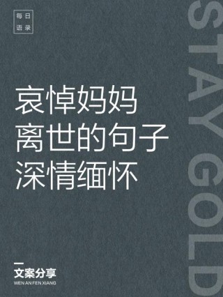 追悼我的母亲/平凡如何伟大