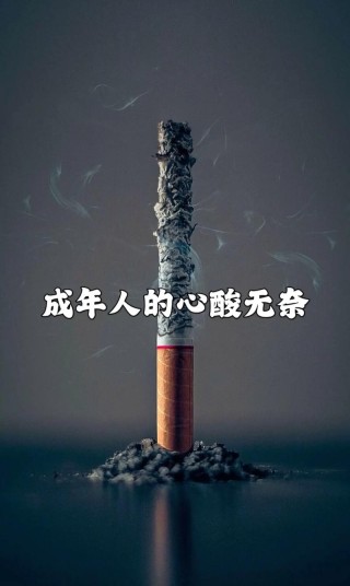 生活一半心酸一半无奈，生活，一半心酸，一半无奈