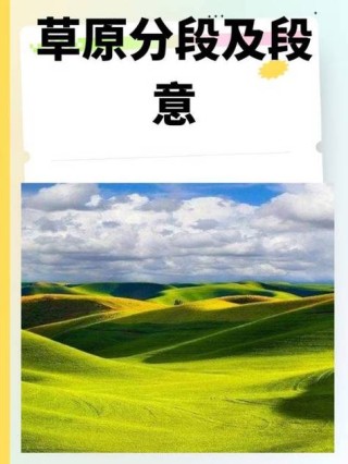 前去草原 （打一字）