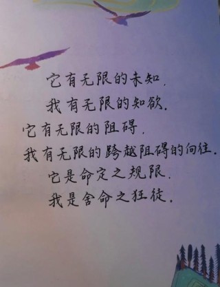 简短精辟哲理句子，简短哲理句子，智慧之语，启迪人生。