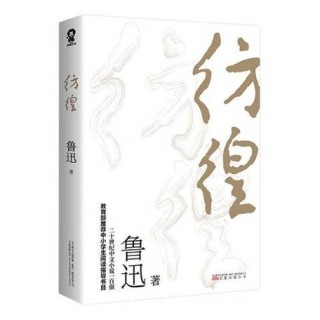 必经之路——彷徨