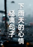 适合文字控发的下雨天的心情说说