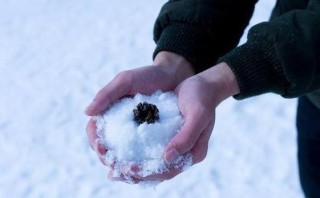「新诗采撷」冯烨｜掌心化雪