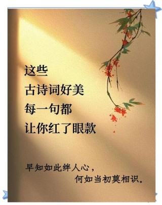 问世间，情为何物，10首最美的情诗，向你的知心爱人表白吧！