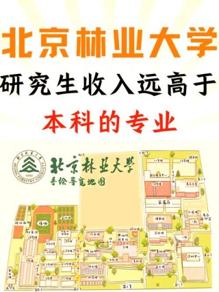 北京林业大学数据科学与大数据技术专业排名怎么样？好不好