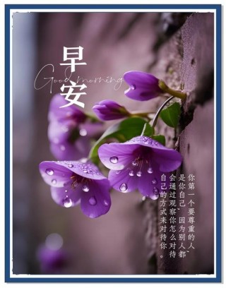 心态通达的早安正能量说说，勇敢奋斗的励志唯美句子