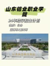 2025年山东铝业职业学院在广西录取分数线是多少（2025~2023近三年分数位次）