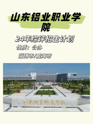 2025年山东铝业职业学院在广西录取分数线是多少（2025~2023近三年分数位次）