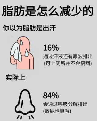 如何消耗脂肪