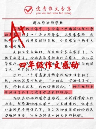 她，令我感动作文600字