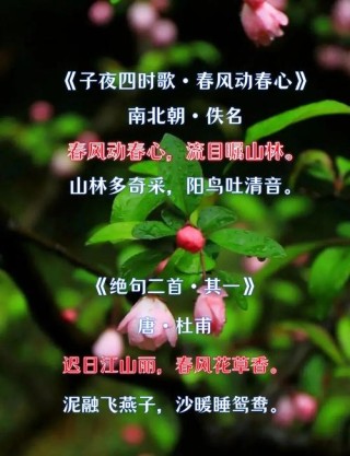 适合春天发朋友圈的诗句，浪漫又唯美