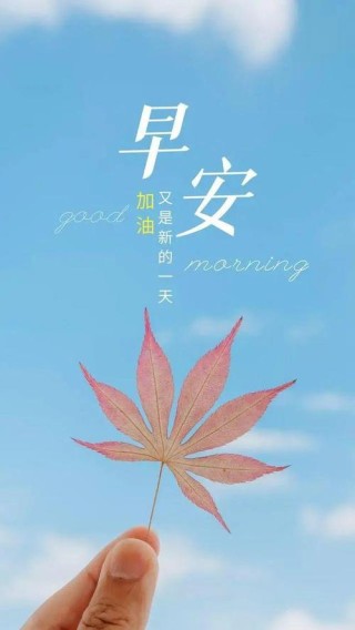 唯美的早安句子：愿你阳光下像个孩子，风雨里像个大人，早安！
