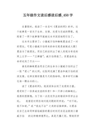 迷失的男孩高中读后感作文