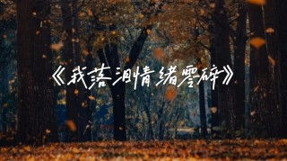 在没有眼泪可为那一片凄美落了。