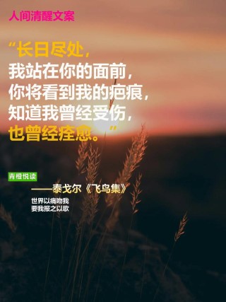 泰戈尔唯美表白情话，泰戈尔的唯美情话表白