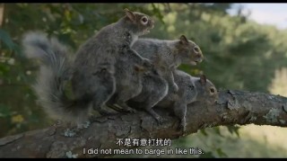 抱歉，美式政治隐喻最佳，已成了笑话
