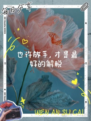 放手，也是一种优雅转身