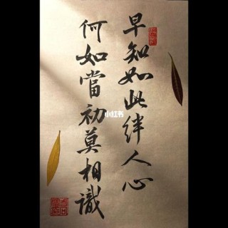 早知如此绊人心，何如当初莫相思