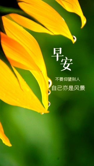 早安正能量简单一句话，早安正能量简语，开启美好一天的温暖问候