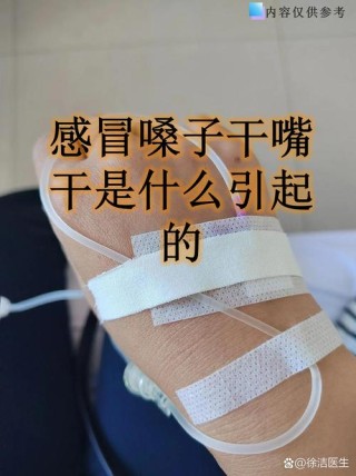 继续因为感冒瓮声瓮气说话的一天，嘴皮子不利索，您各位配...