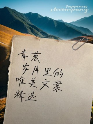 青涩岁月的味道