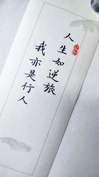 人生如逆旅，我亦是行人——探析苏轼名言的深意