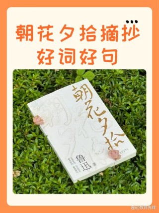每日一本好书《朝花夕拾》经典作品