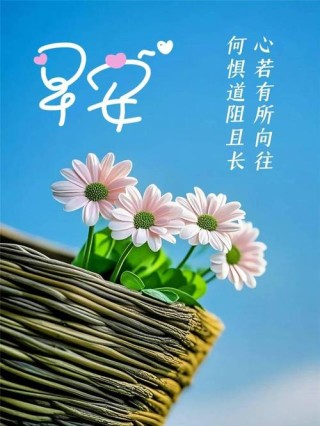 励志早安问候，最温暖的早安问候语，高情商向领导问候早安的句子