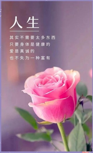 感悟人生精辟短句，人生感悟，简短精辟的哲理短句