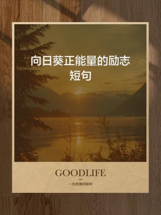 积极向上的座右铭，积极向上的座右铭，勇往直前，无畏挑战。