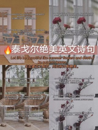 7首中外名人英文诗歌，值得收藏