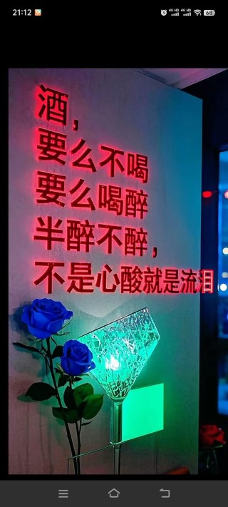 清醒时你是高贵冷艳无坚不摧，可喝酒时你总哭说你不想再付出