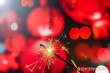 盼望除夕早点过 （打三字医学词）