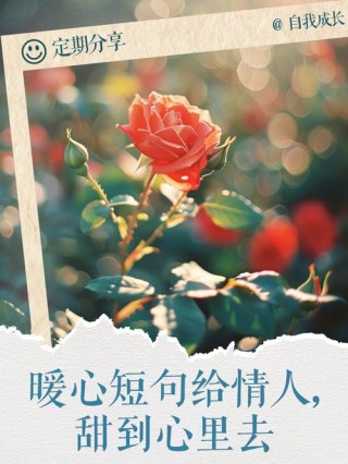 文艺又暖心的情话，句句深情唯美（情侣必备）