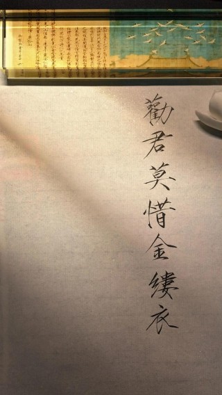 “劝君莫惜金缕衣，劝君惜取少年时”是励志诗吗？