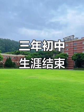 三年的时光