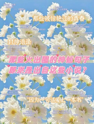 优美的小说短句