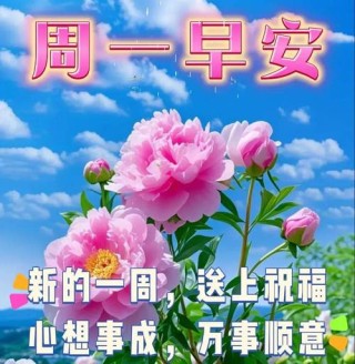 10句周一早安祝福文案问候语，新的一周，新的开始，周一早上好