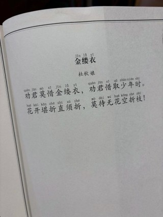 《金缕衣》19首：劝君莫惜金缕衣，劝君须惜少年时！