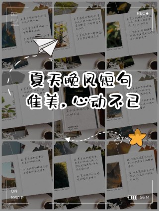 13个浪漫小句子，温柔了整个夏天